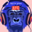 Agiles Goes Ape